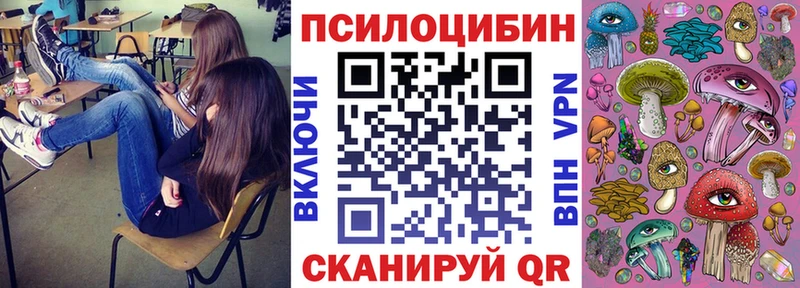 Псилоцибиновые грибы Cubensis Невинномысск